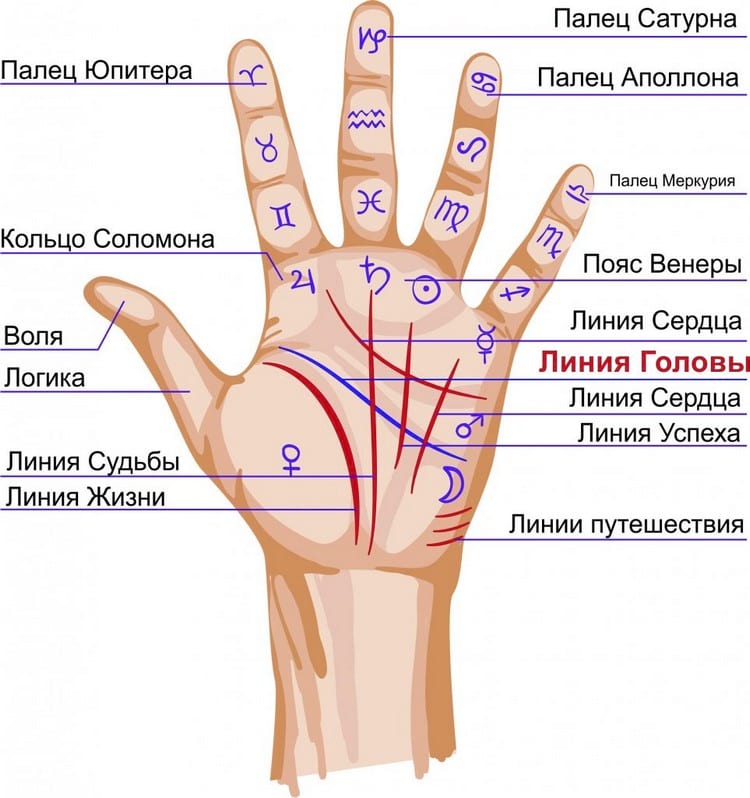 Что говорят о человеке магические знаки на ладони