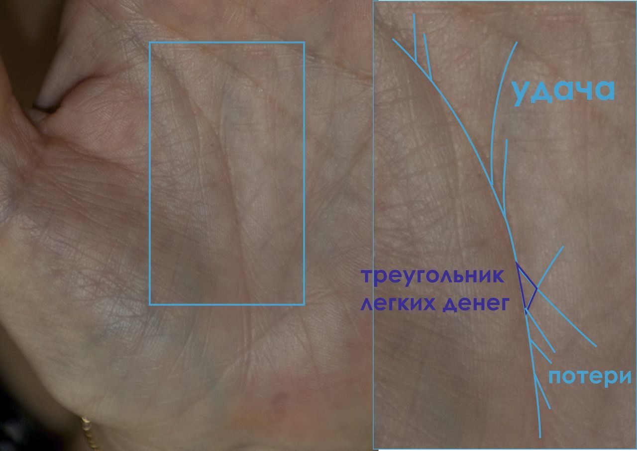 Линии руки расшифровка по фото онлайн