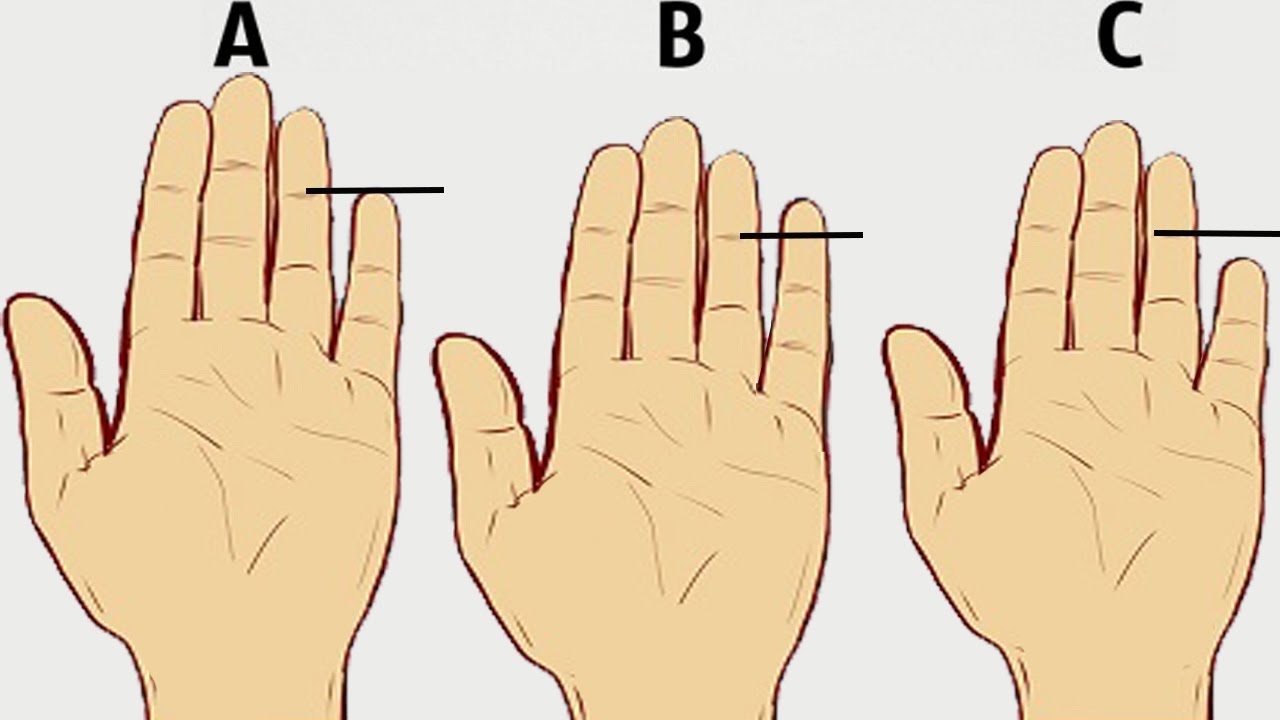 Характер человека по длине пальцев на руке